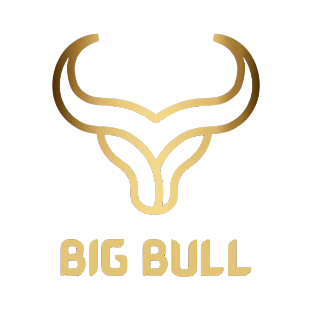 BIG BULL Dubai logo, a Boost Hive Marketing client